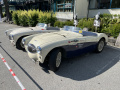 Frogeye  Austin Healey Tagebuch